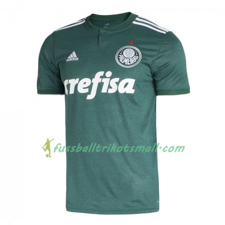 Fußballtrikots Palmeiras 2018-2019 Kurzarm Heimtrikotsatz kaufen